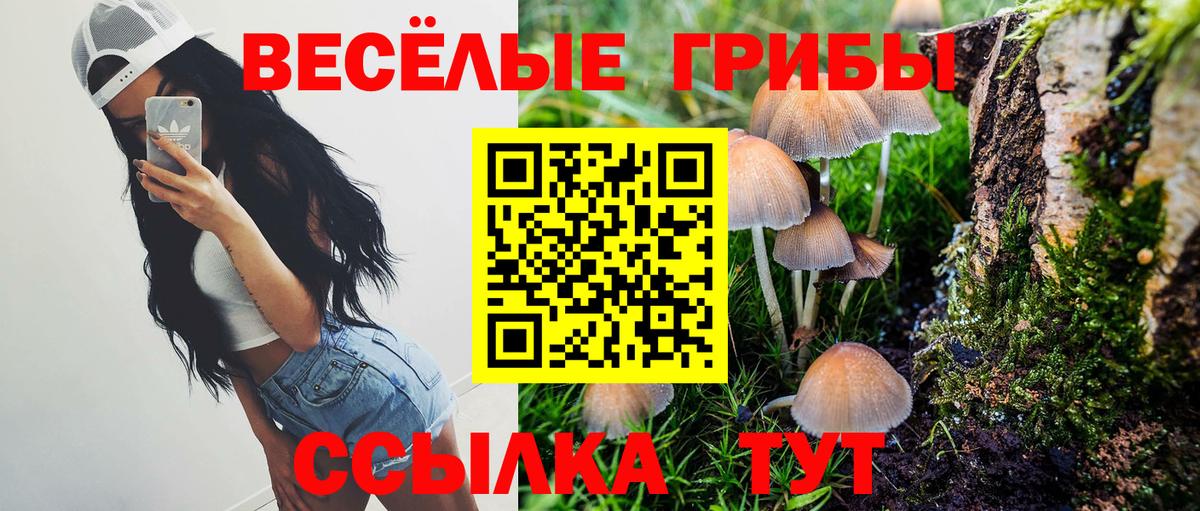 Галлюциногенные грибы Magic Shrooms  Вход с VPN  Ливны 