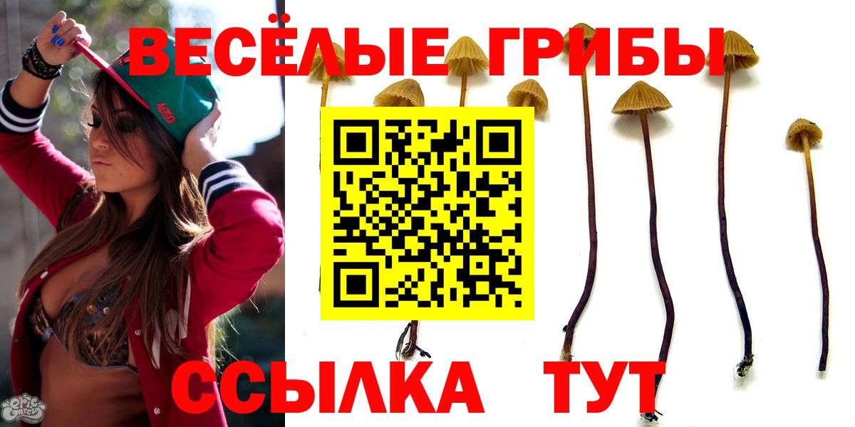 Галлюциногенные грибы Cubensis Ливны